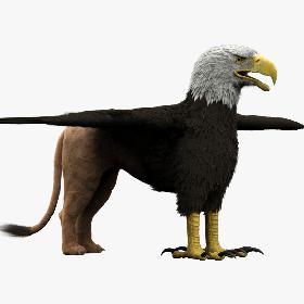 Gryphon 3D model